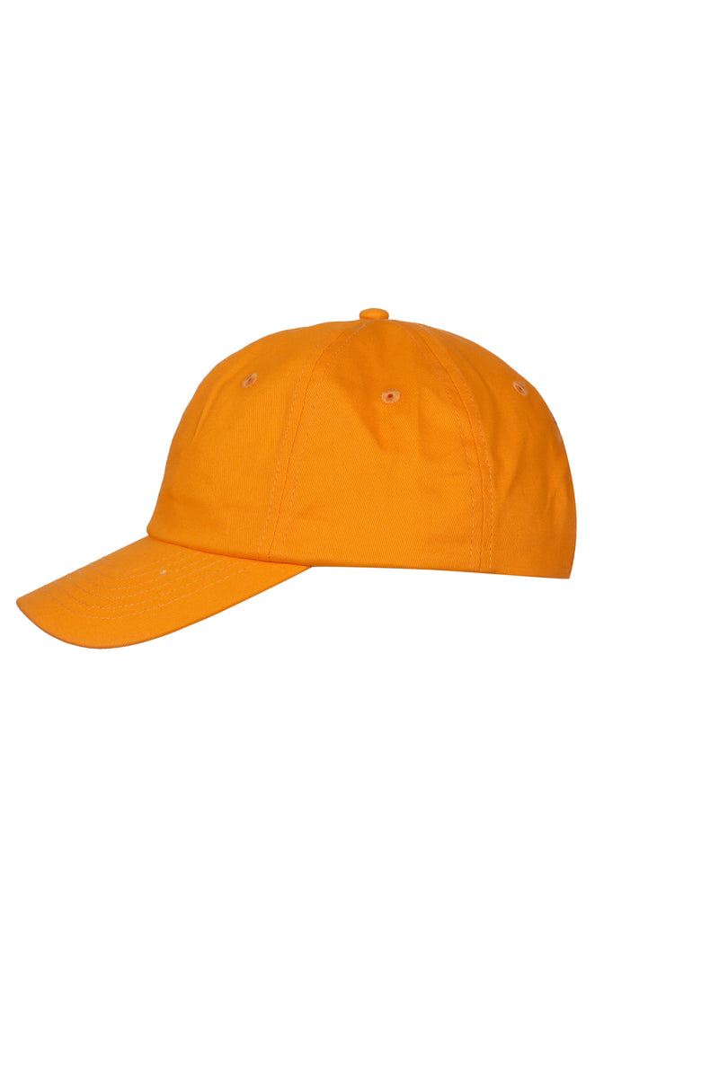 Z X SAP CAP
