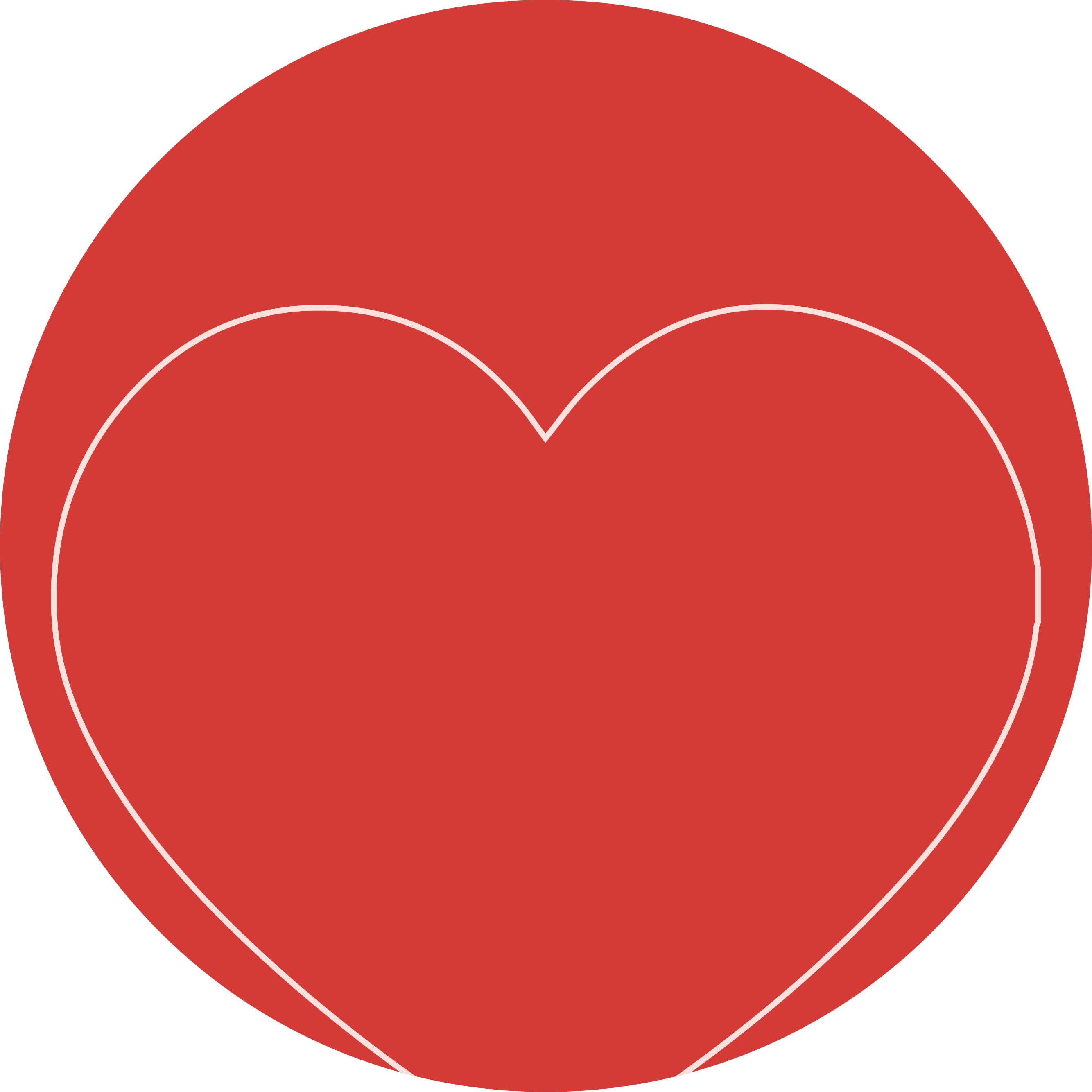 עיגול צבע: RED BASE WITH PINK LINES