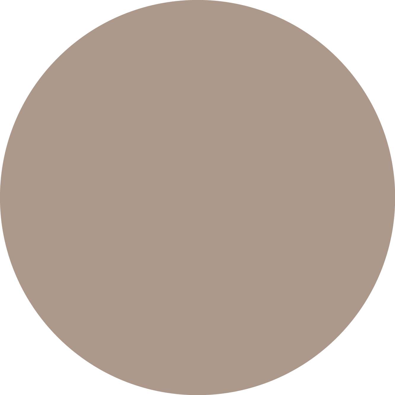 עיגול צבע אפור