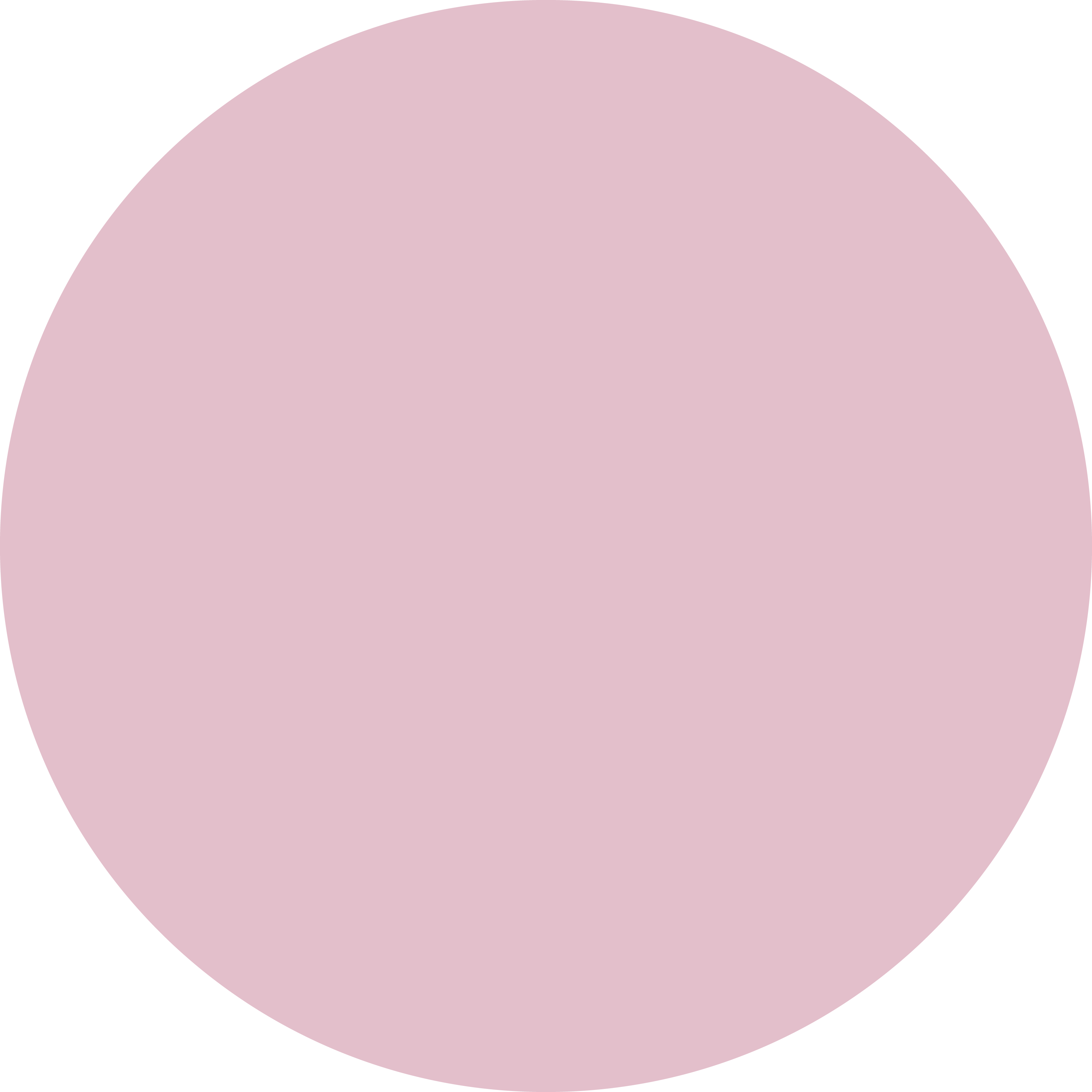 עיגול צבע soft pink