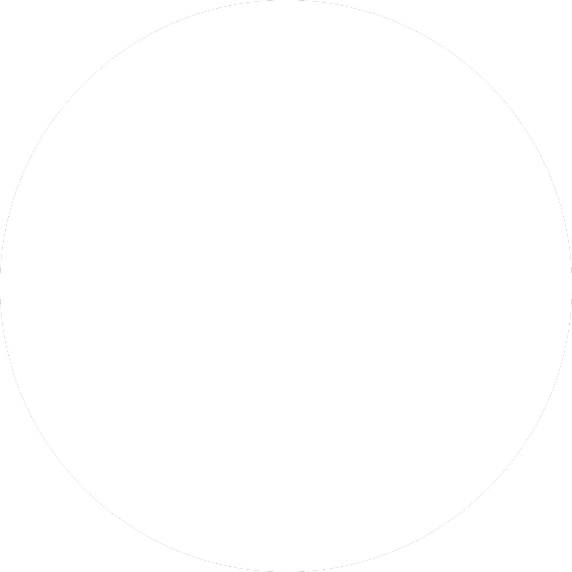 צבע WHITE לבן
