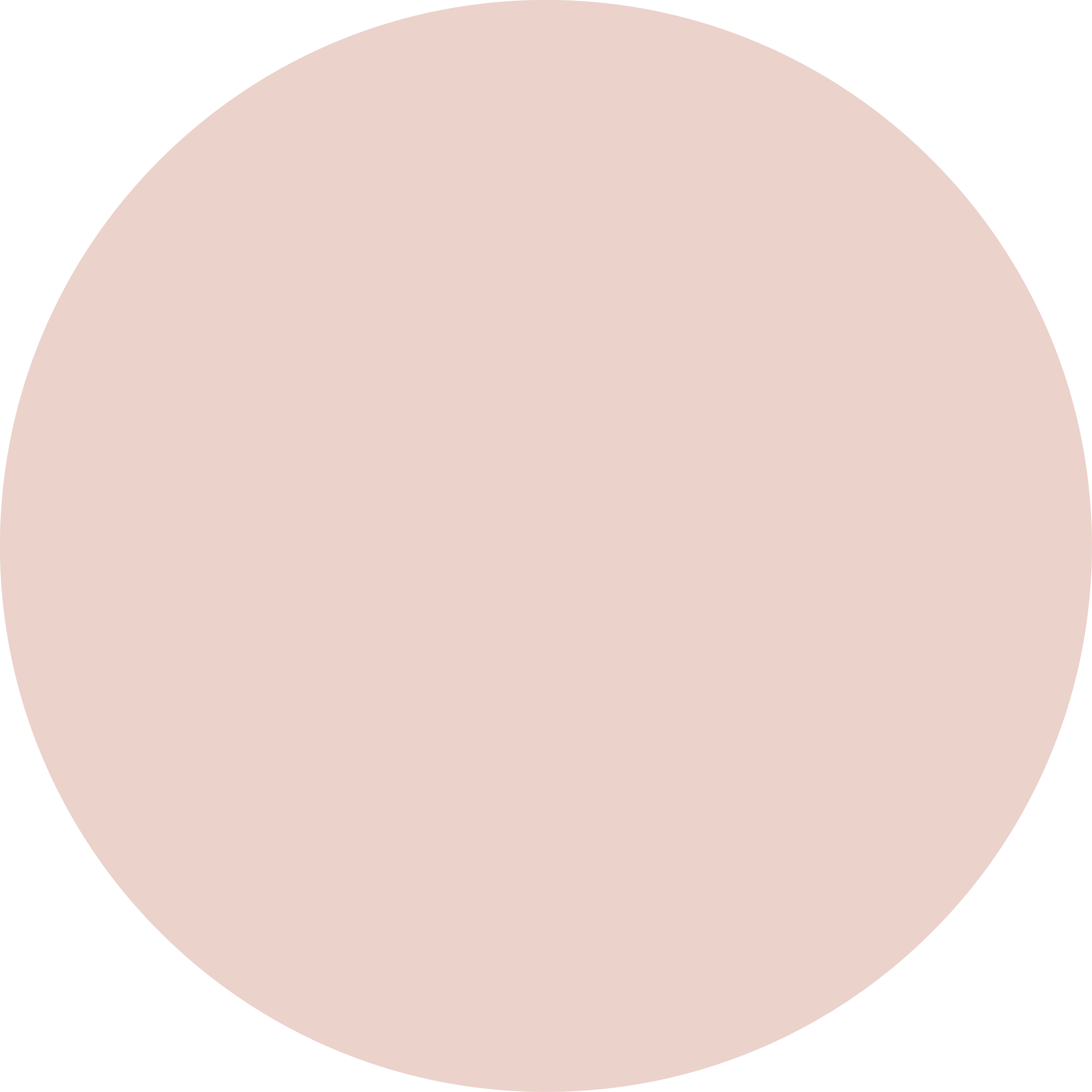 עיגול צבע PINK