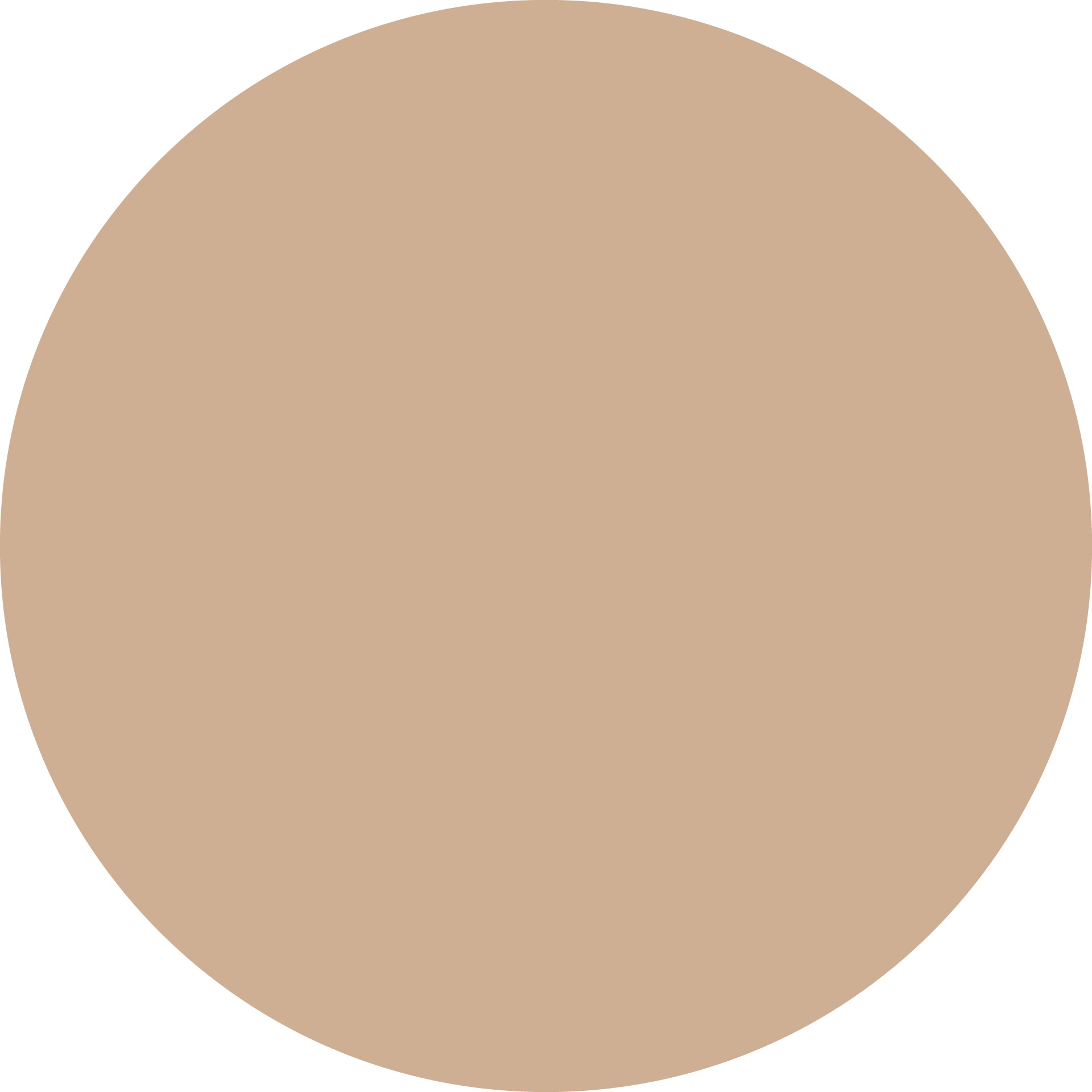 גוון BEIGE ניוד-בז