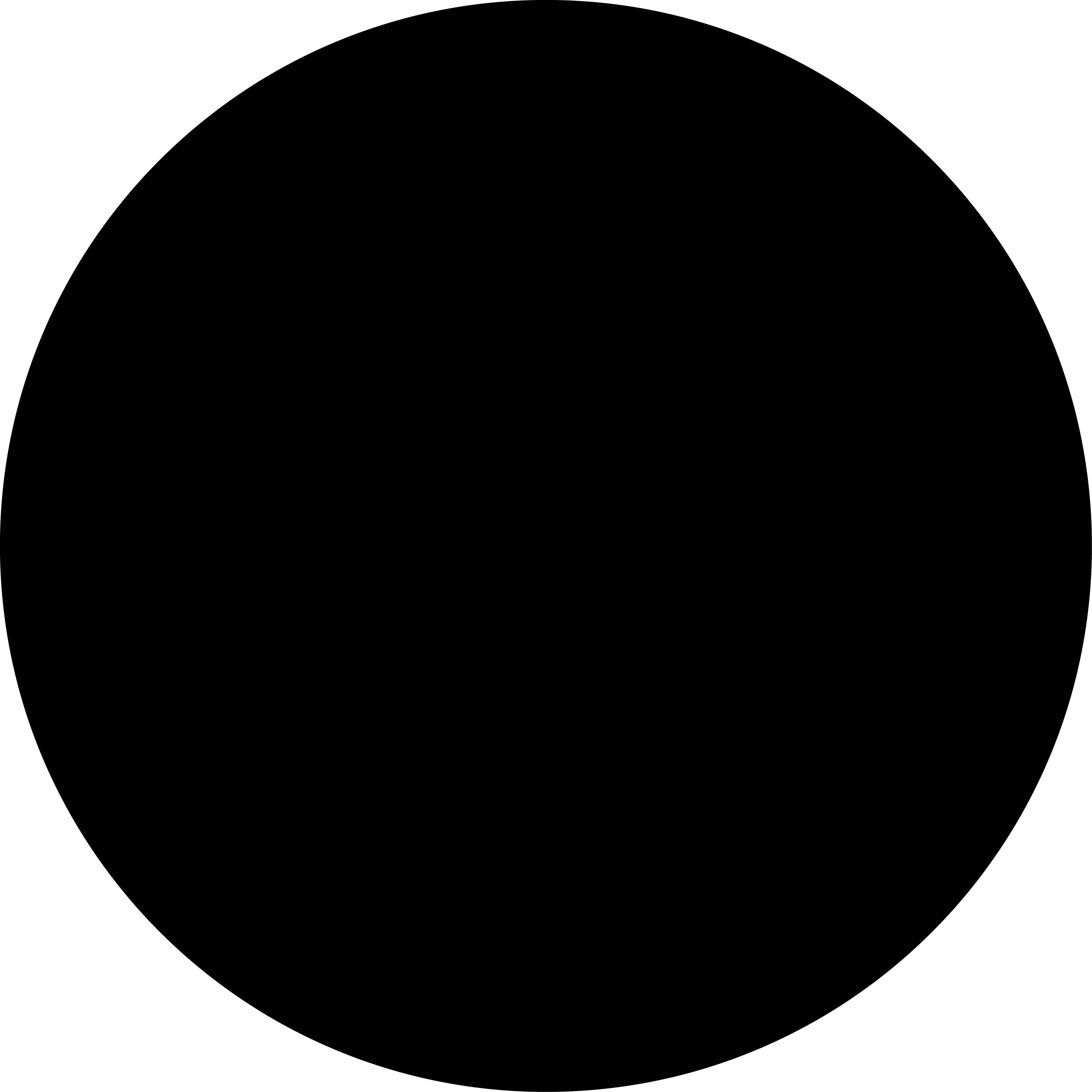 עיגול צבע - שחור