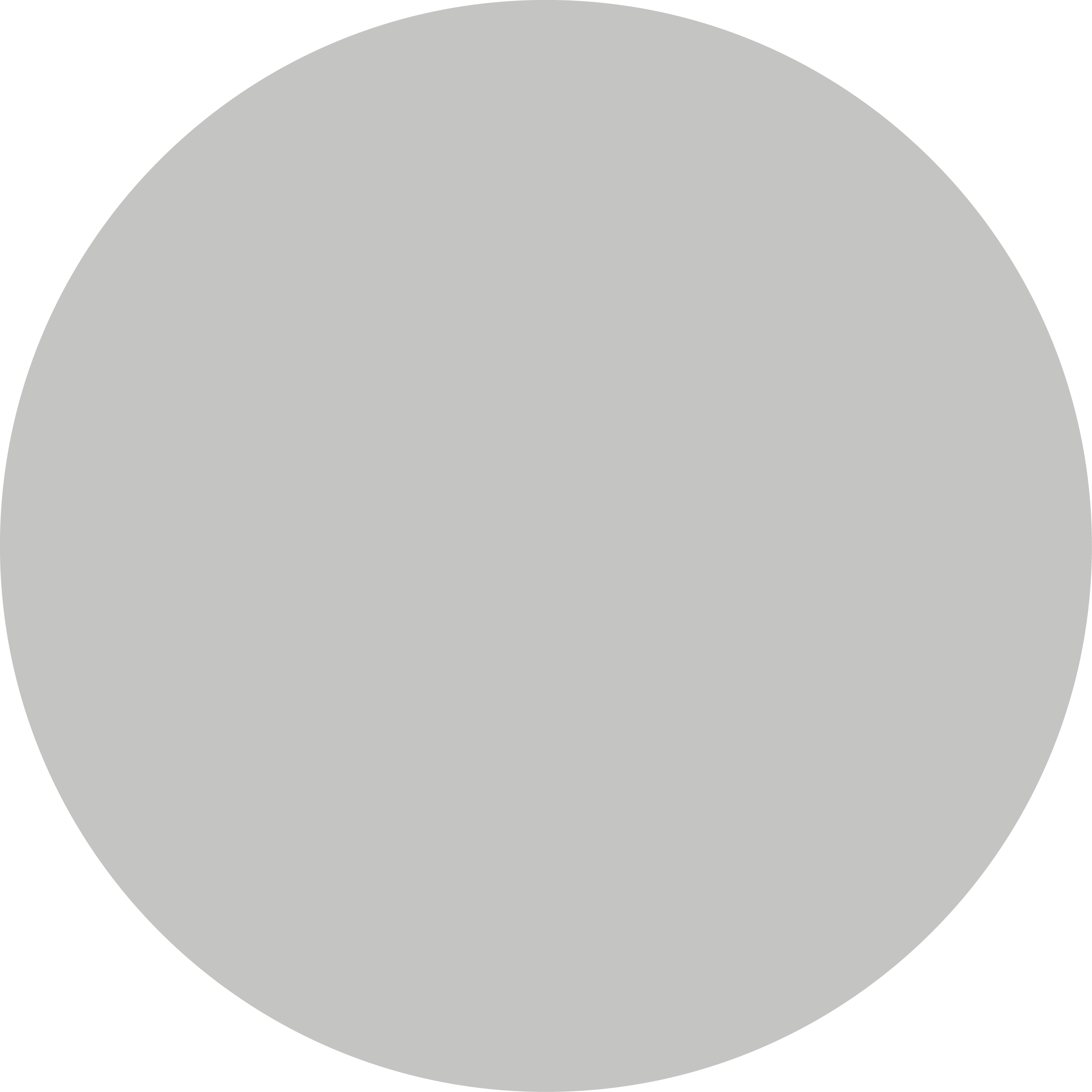 עיגול צבע: אפור