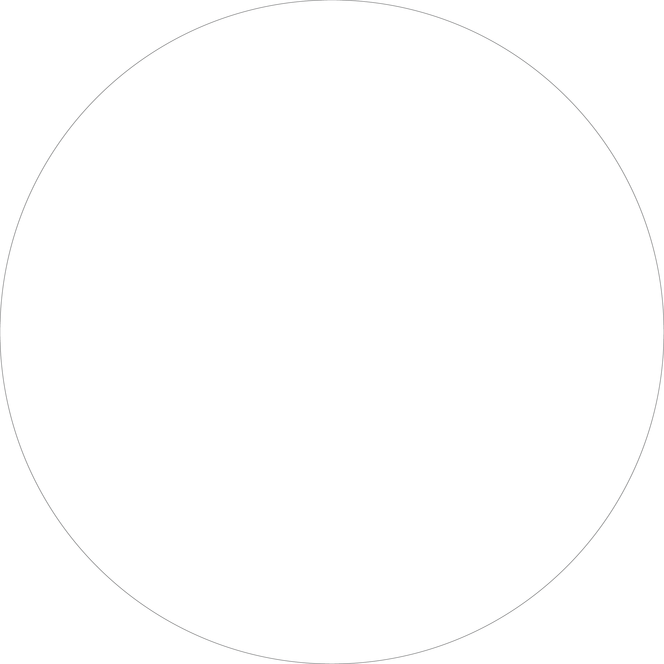 עיגול צבע - לבן 