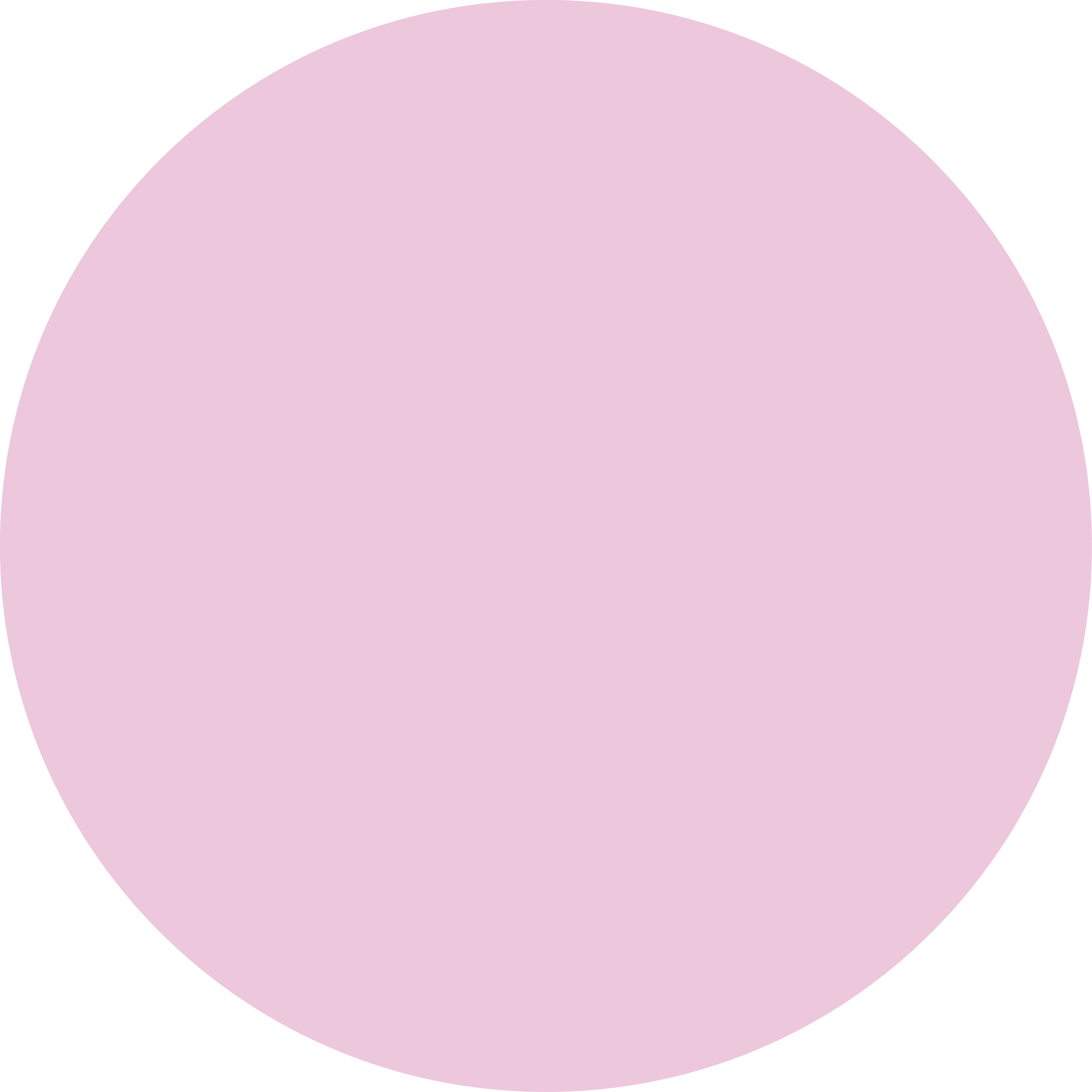 עיגול צבע SOFT PINK