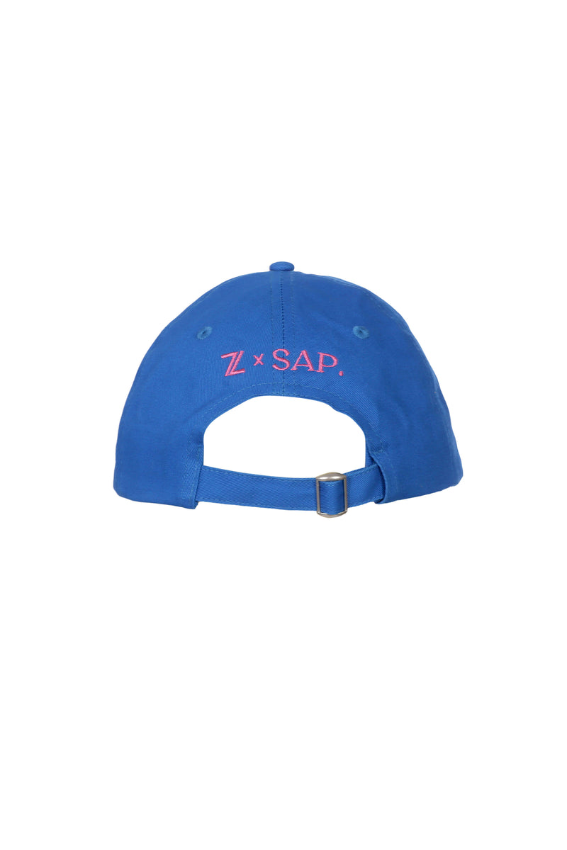 Z X SAP CAP